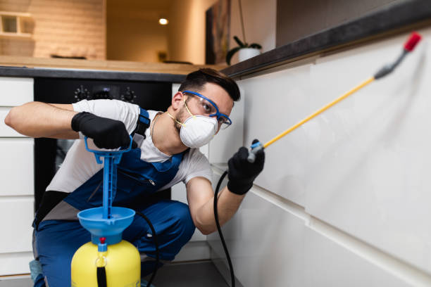 Flea Control Services in Lake Brownwood, TX