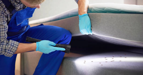 Best Cockroach Control Services  in Lake Brownwood, TX