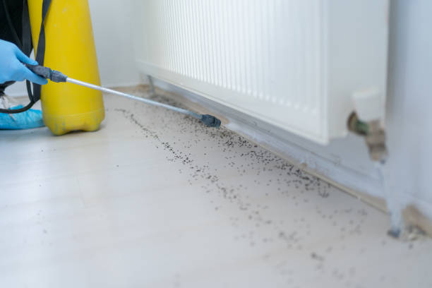 Best Best Pest Control Companies  in Lake Brownwood, TX