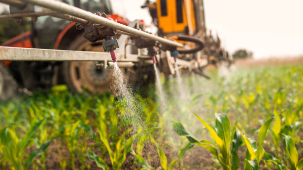Insect Control in Lake Brownwood, TX